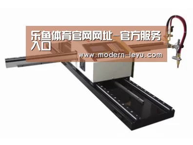 案例展示一