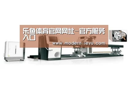 视频展示一