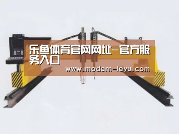 产品名称十七