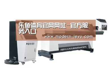 案例展示四