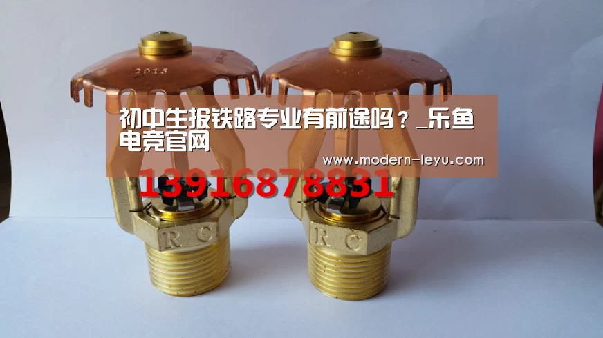 
初中生报铁路专业有前途吗？_乐鱼电竞官网