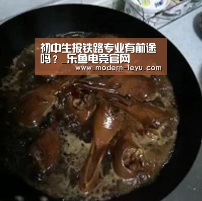 乐鱼电竞leyu