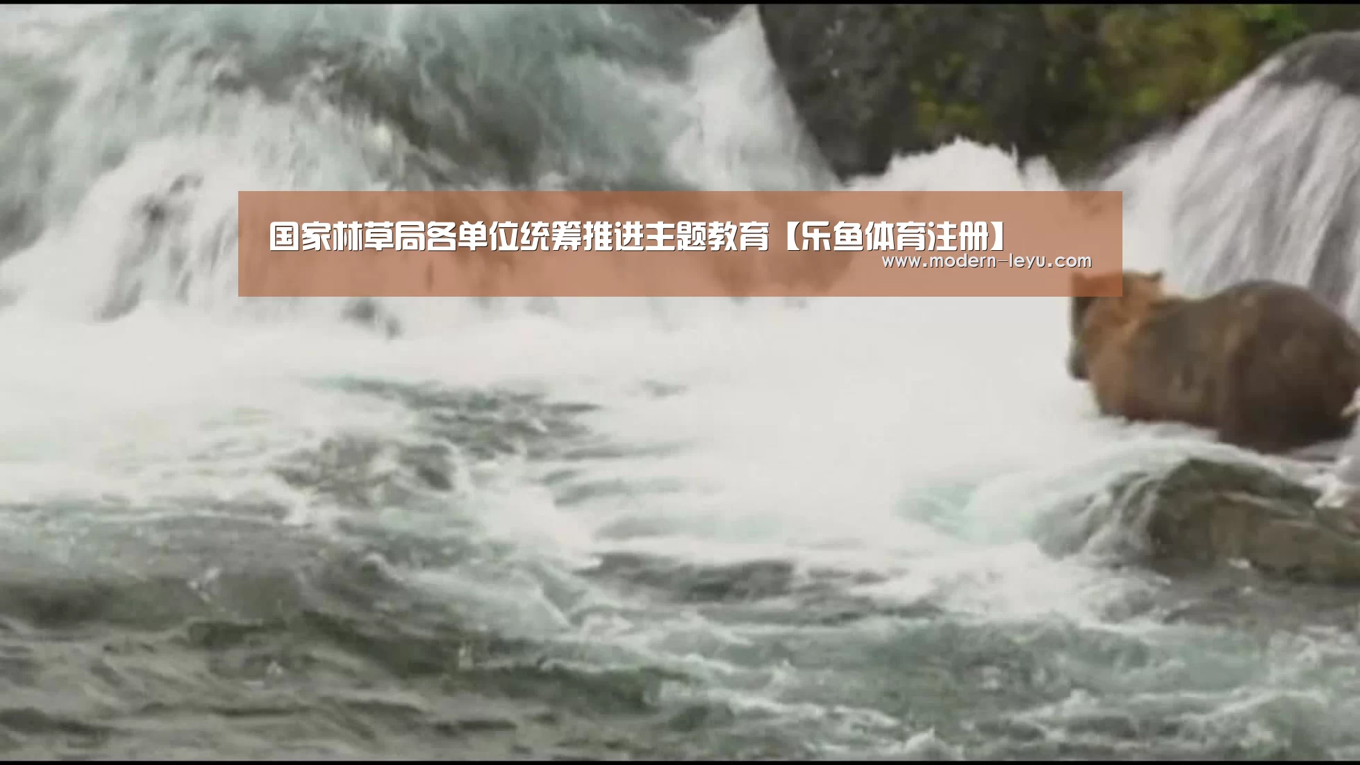 国家林草局各单位统筹推进主题教育【乐鱼体育注册】(图2) 乐鱼电竞leyu