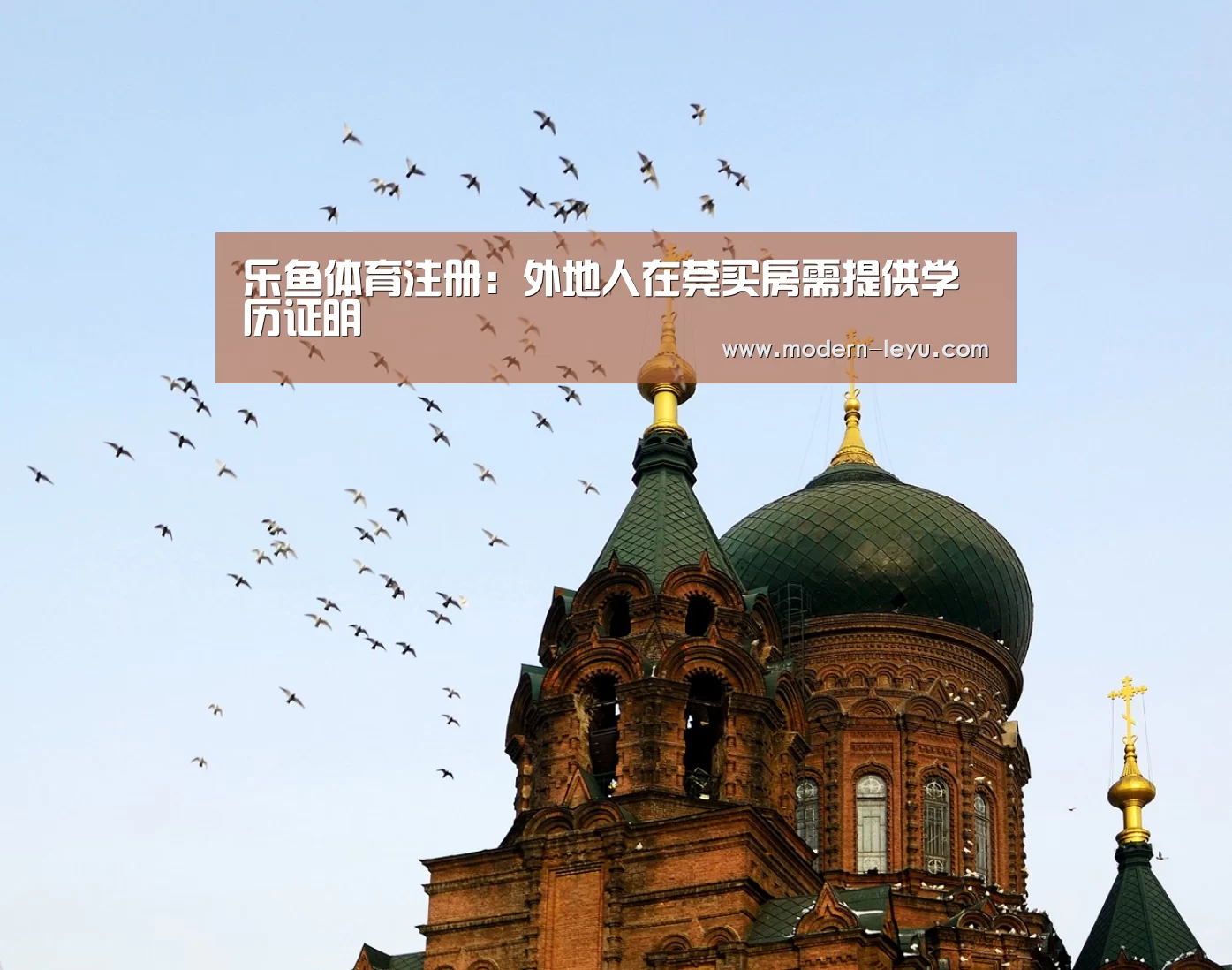 乐鱼体育注册：外地人在莞买房需提供学历证